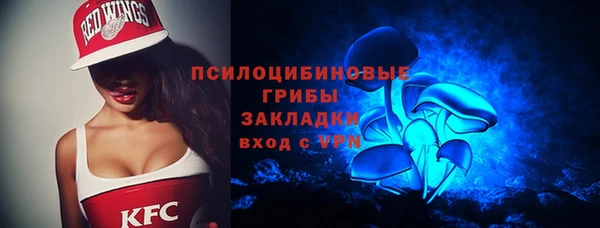 шишки Абинск