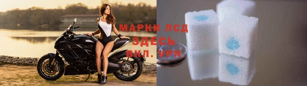 стафф Пролетарск