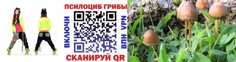 Галлюциногенные грибы GOLDEN TEACHER  ОМГ ОМГ   Великий Новгород 